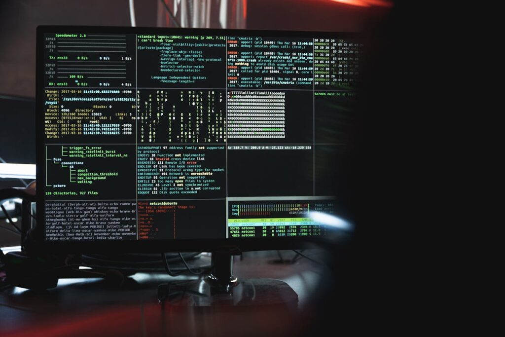 SSD Hosting Schweiz